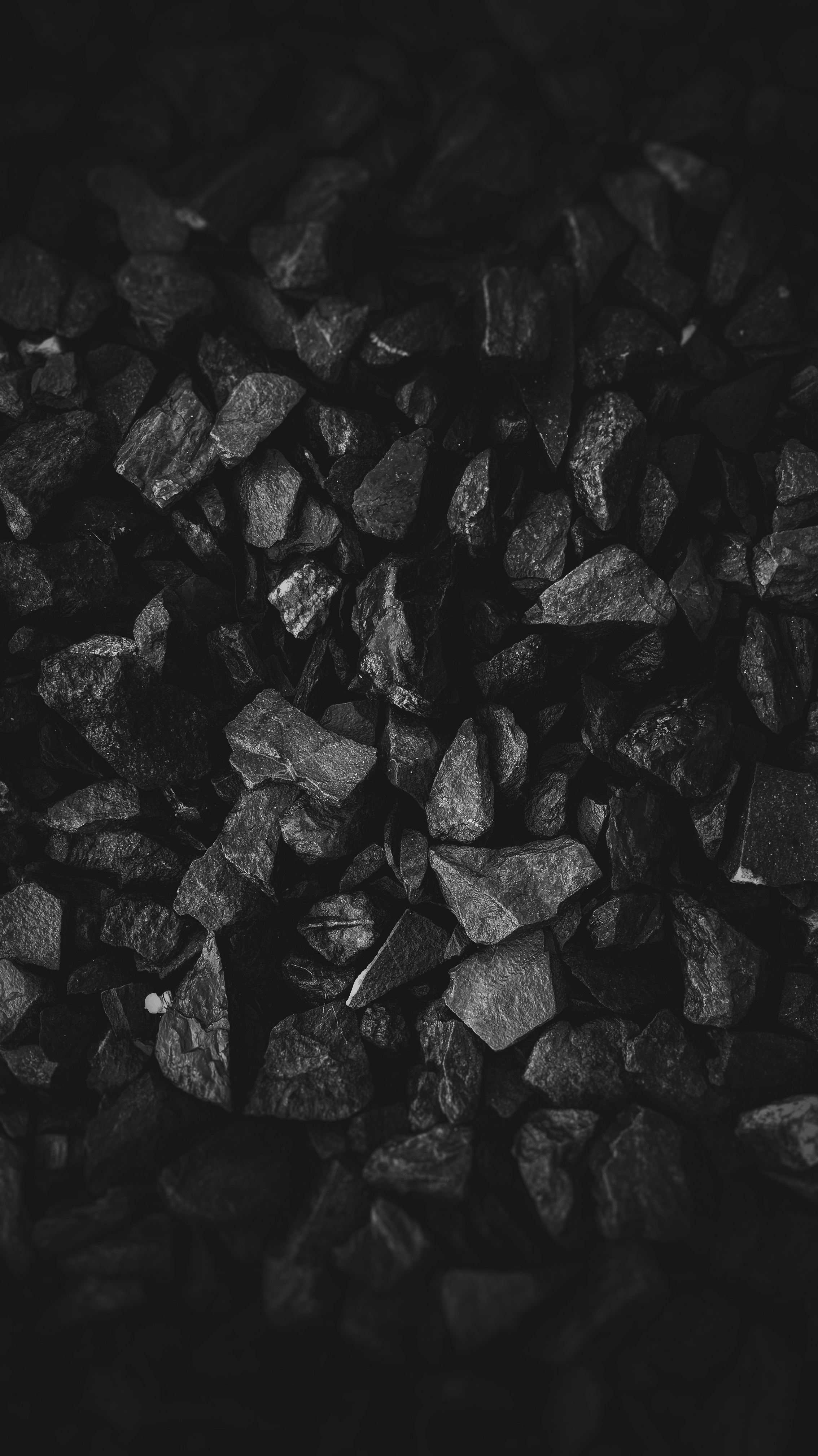 Why Pay Attention to Blue Gem Coal?