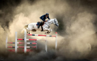 White horse jumping a fence